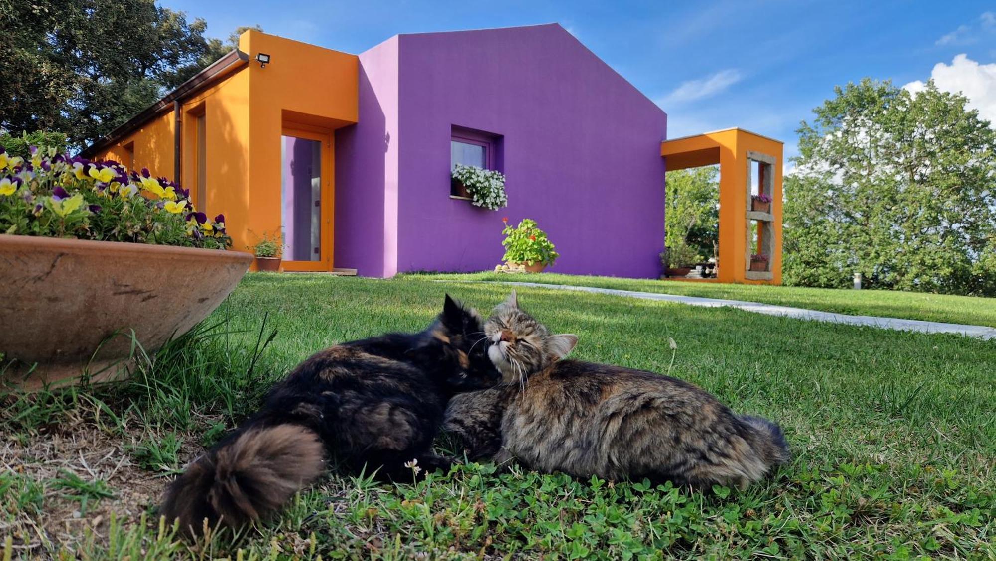 Limbara Dreaming Hotel Tempio Pausania Exterior foto